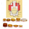 Hand Medium Tart M/c Die Set*